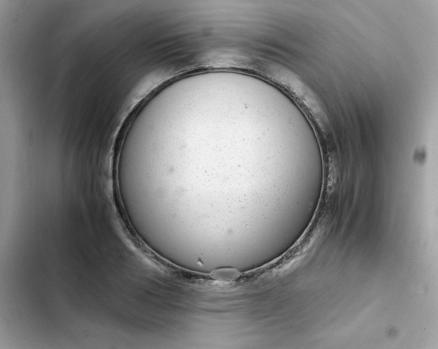 X0000102380986200808151854