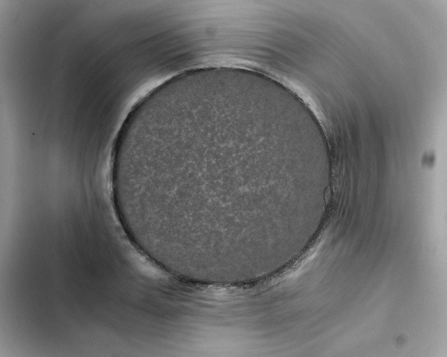 X0000102380987200808151854