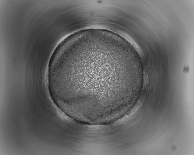 X0000102380988200808151854