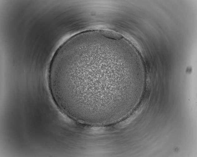 X0000102380989200808151854