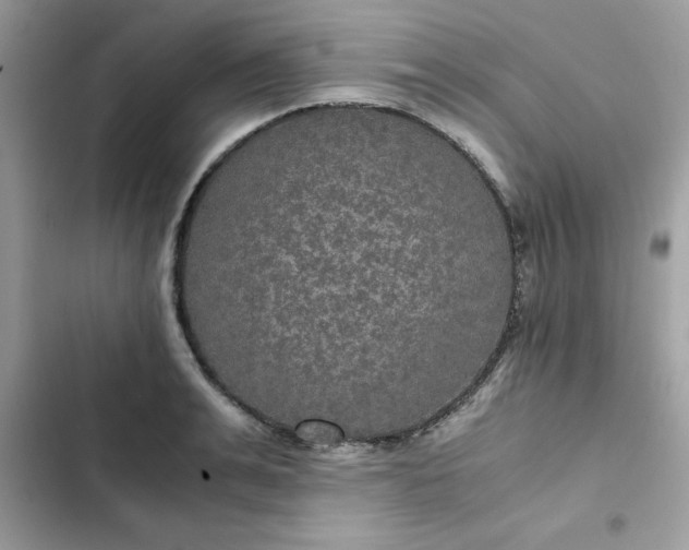 X0000102380991200808151854