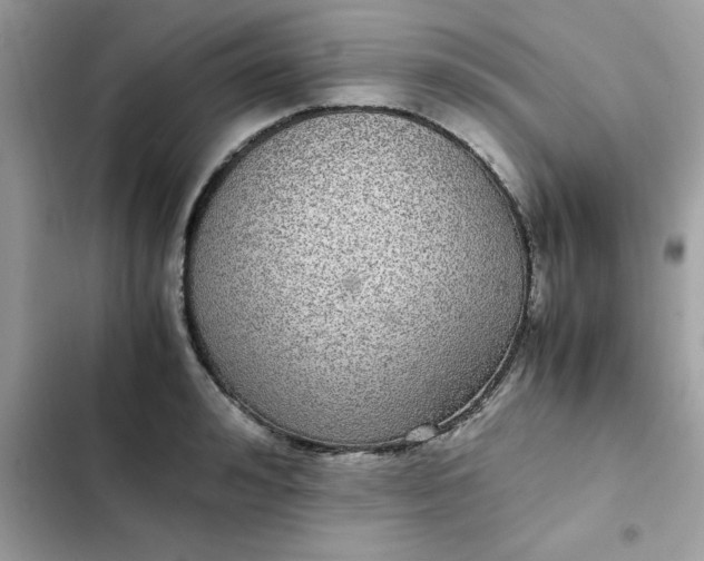 X0000102380992200808151854