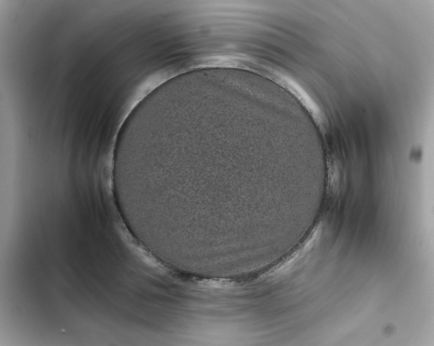 X0000102380994200808151854