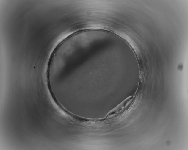 X0000102380995200808151853