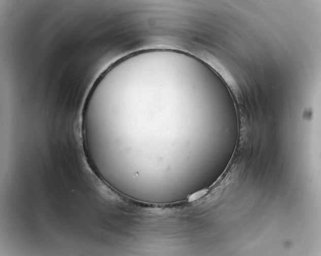 X0000102380996200808151853