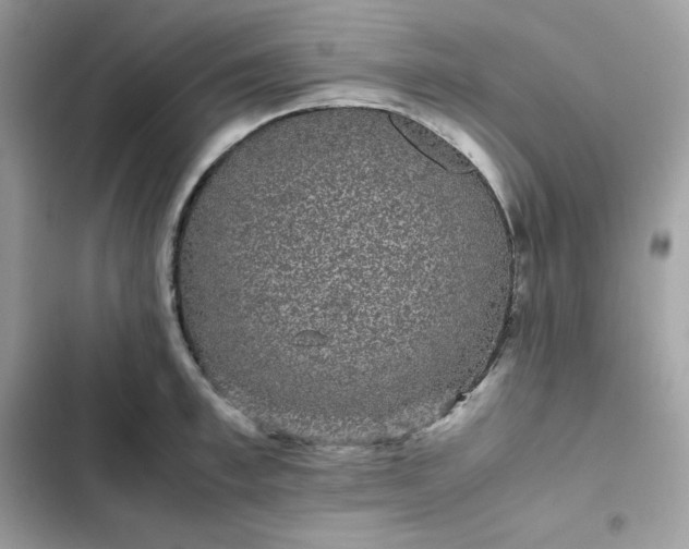 X0000102380997200808151853