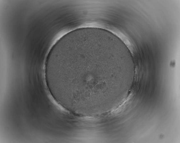 X0000102380998200808151853