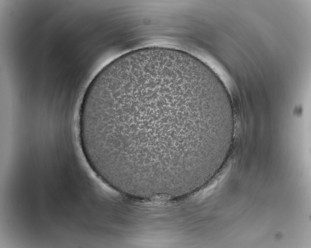 X0000102380999200808151853