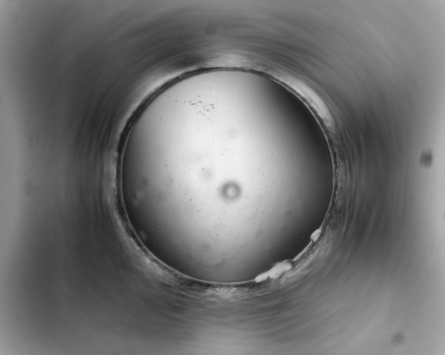 X0000102381000200808151853