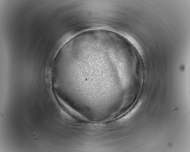 X0000102381001200808151853