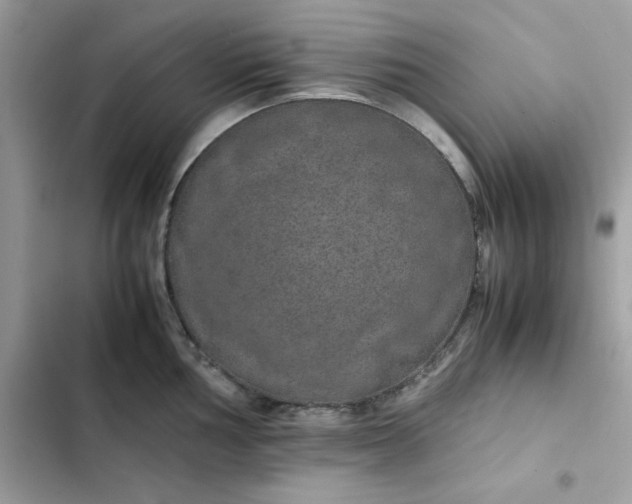 X0000102381002200808151853