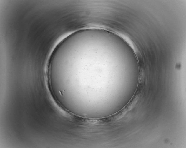 X0000102381003200808151853