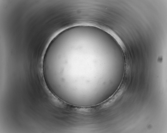 X0000102381004200808151853