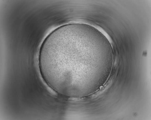 X0000102381005200808151853