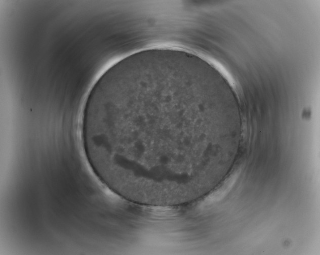 X0000102381007200808151853