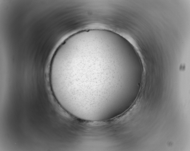 X0000102381008200808151853