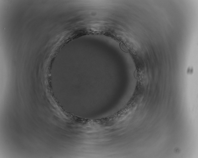 X0000102381009200808151852