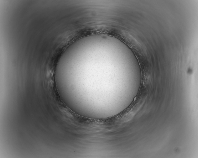 X0000102381010200808151853