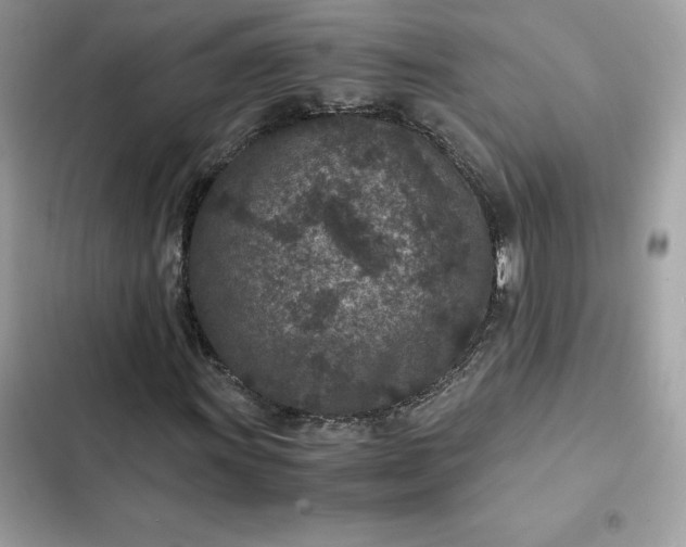 X0000102381011200808151853