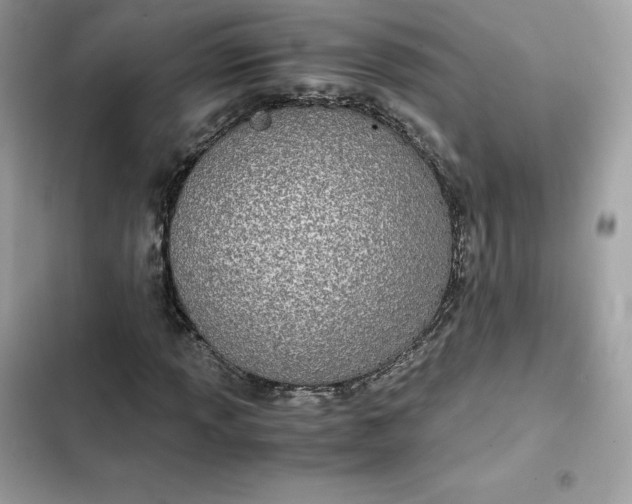 X0000102381013200808151853