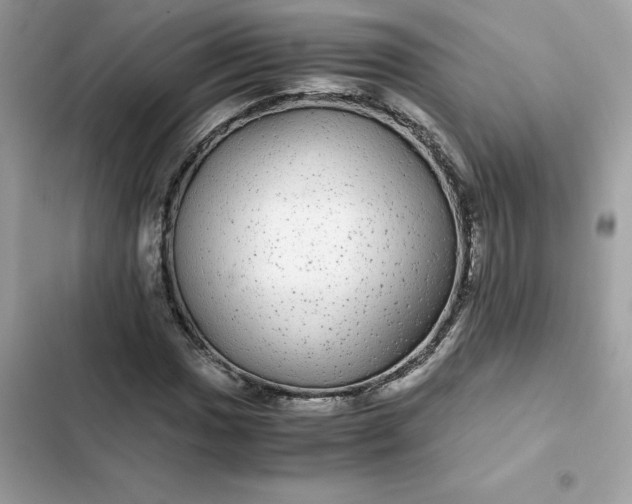 X0000102381017200808151853