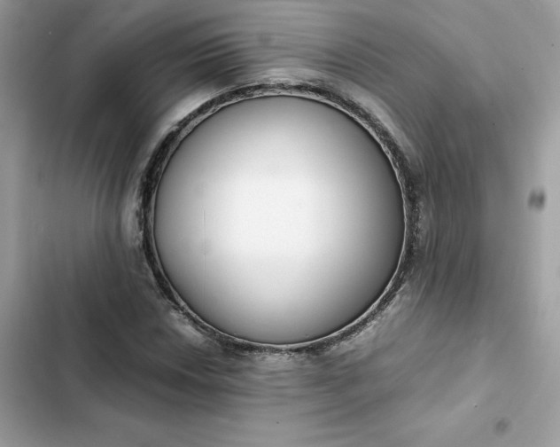 X0000102381018200808151853