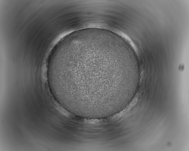 X0000102381019200808151853