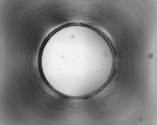 X0000102381020200808151853