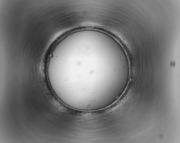 X0000102381022200808151853