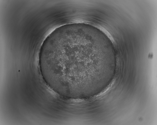 X0000102381023200808151853