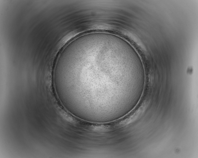 X0000102381025200808151853