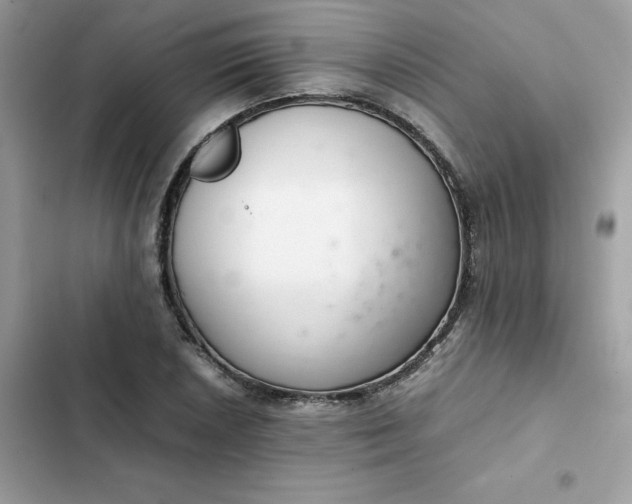 X0000102381026200808151853