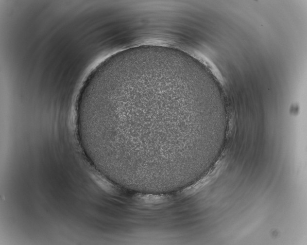 X0000102381027200808151853