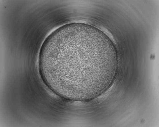 X0000102381028200808151853