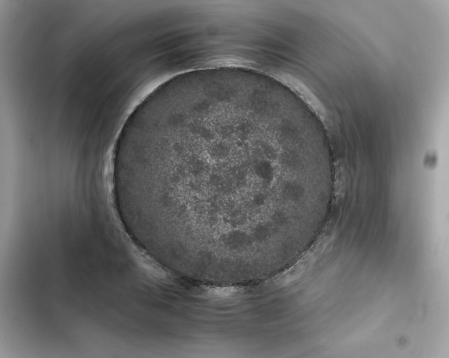 X0000102381031200808151853