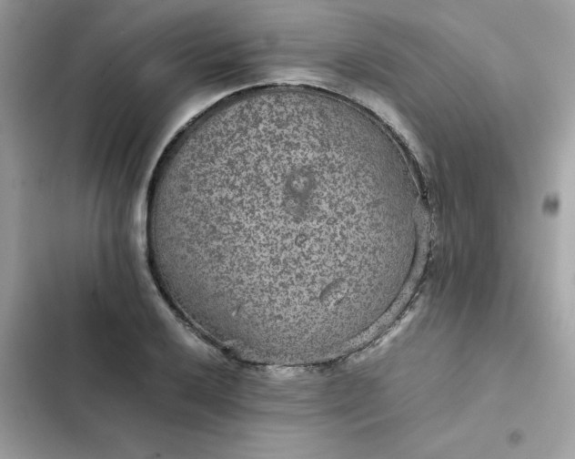 X0000102381032200808151853