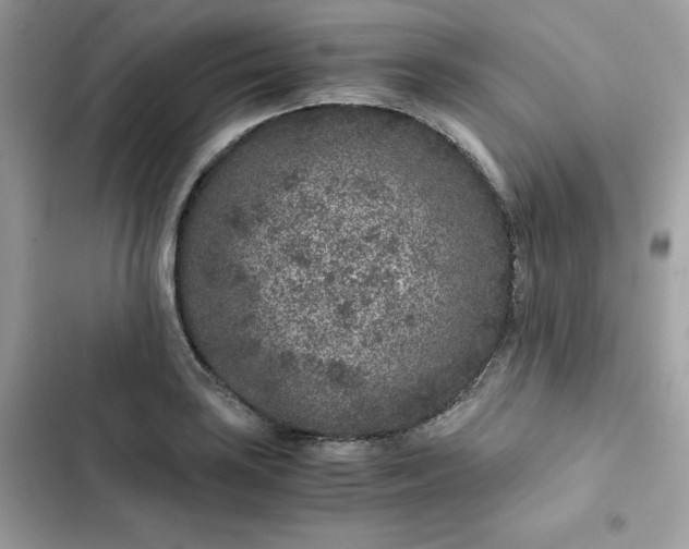 X0000102381035200808151853