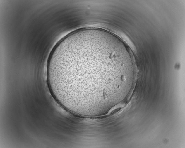 X0000102381036200808151853