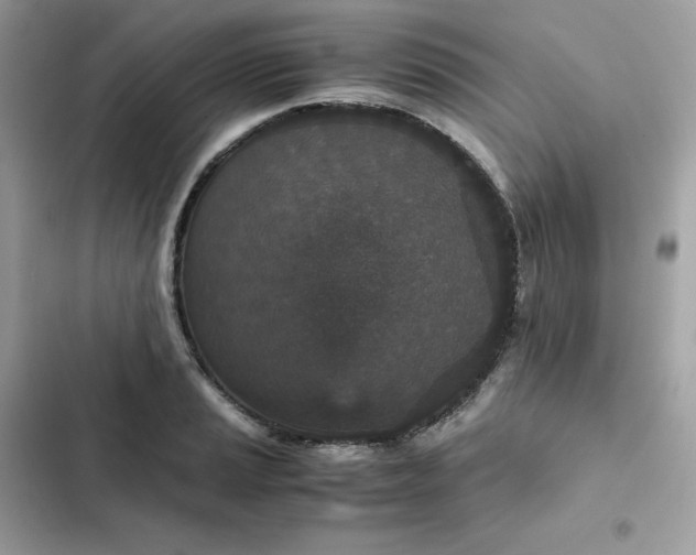 X0000102381037200808151853