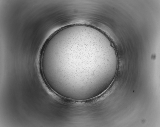 X0000102381038200808151853