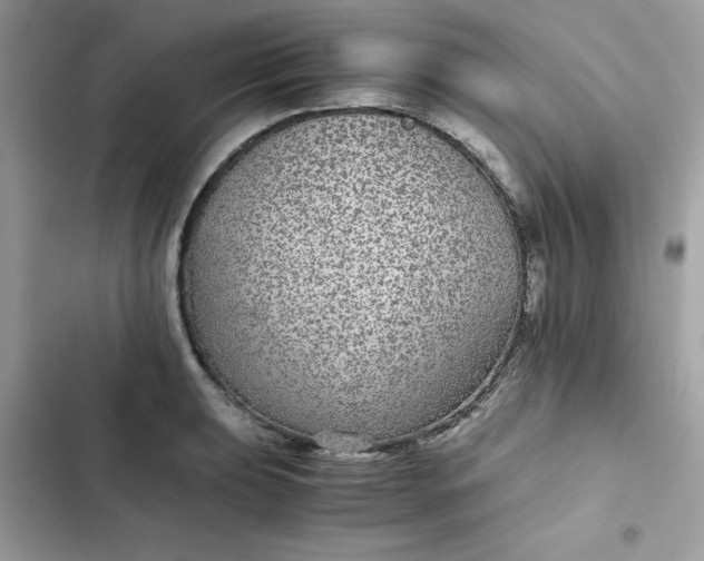 X0000102381039200808151853