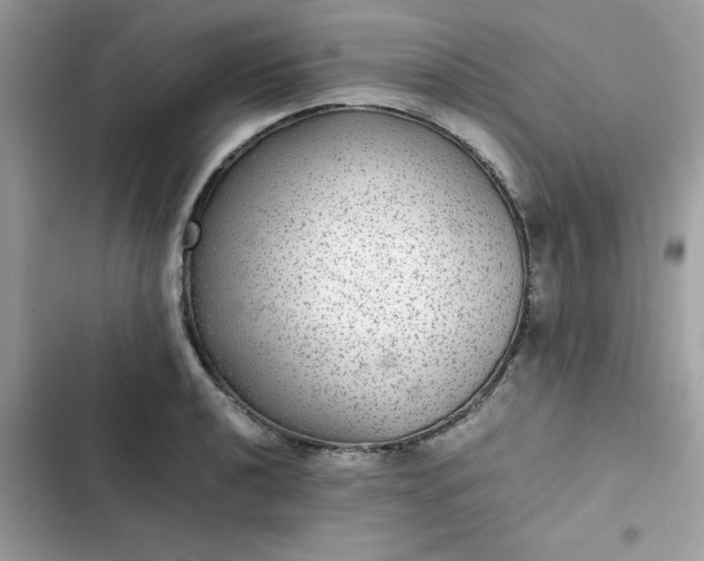 X0000102381040200808151853