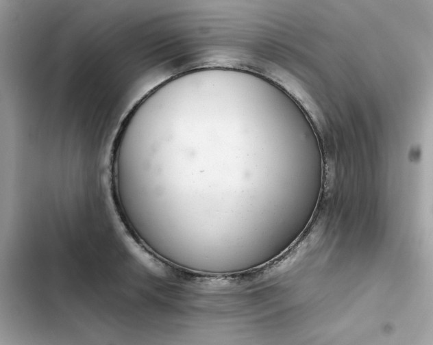 X0000102381042200808151853