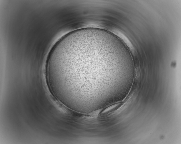 X0000102381043200808151853