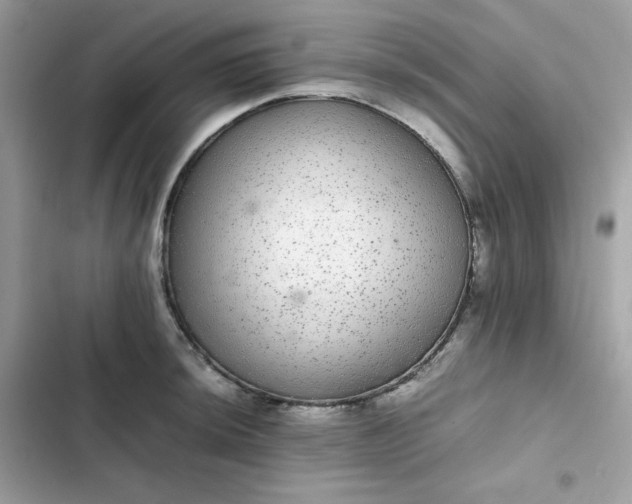 X0000102381044200808151853