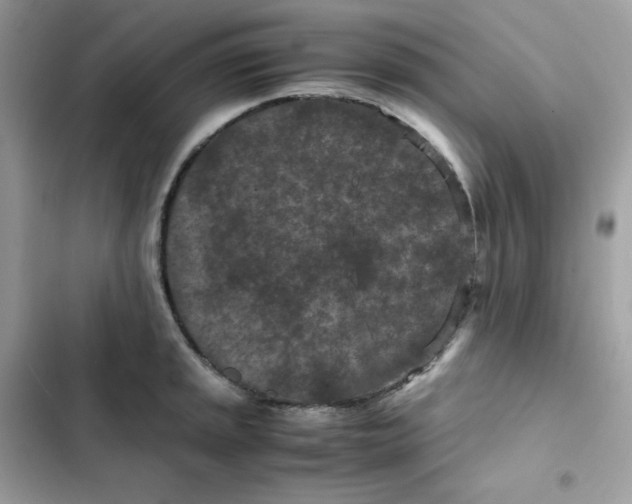 X0000102381045200808151853