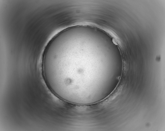 X0000102381046200808151853