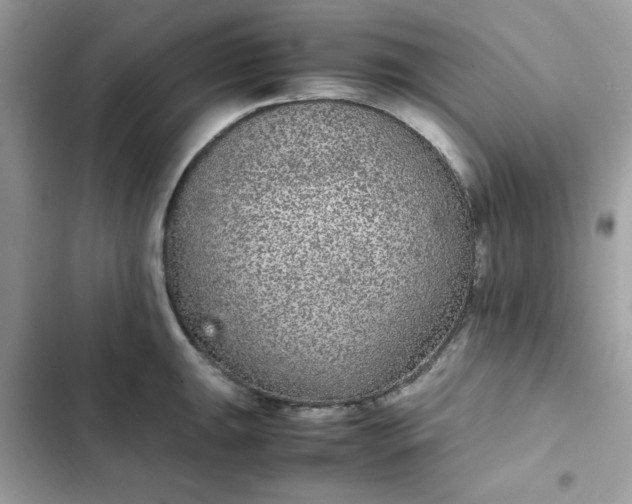 X0000102381047200808151853