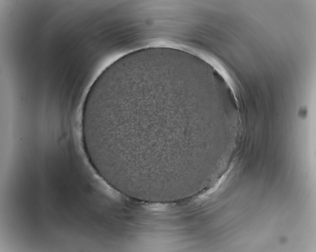 X0000102381048200808151853