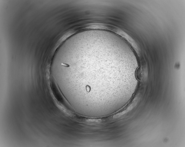 X0000102381049200808151853